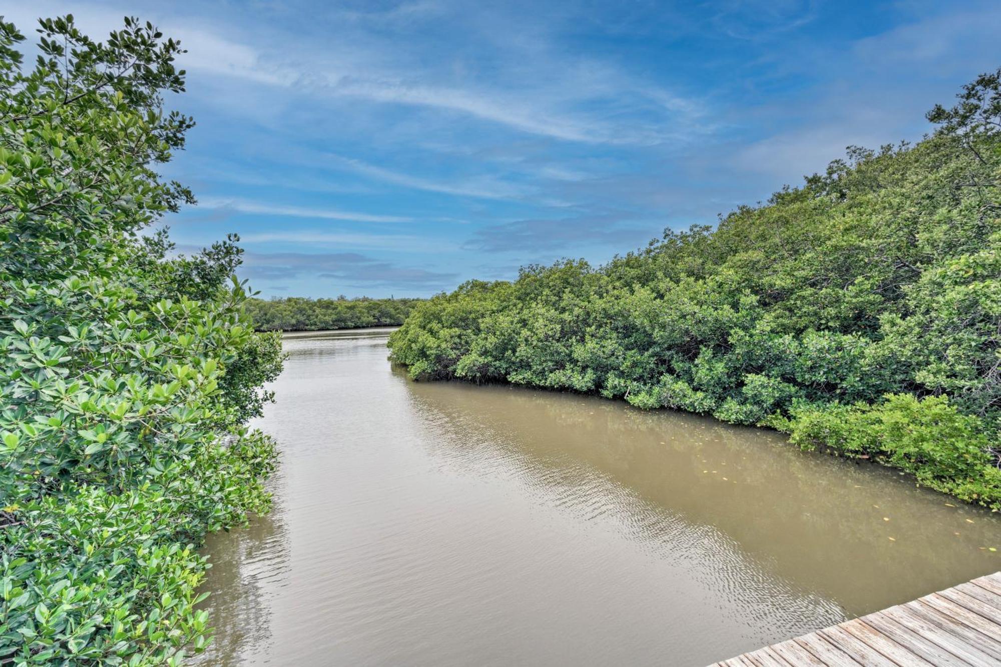 Condo With Pool And Gulf Access On Anna Maria Island! Холмс-Бич Экстерьер фото